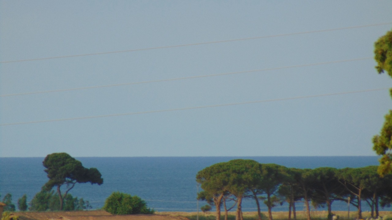 Photo of Others in Cerveteri