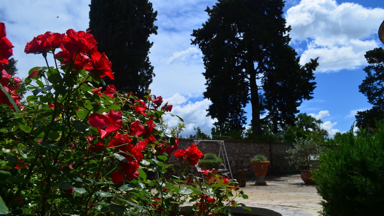 Photo of Outdoor in Villa Adriana