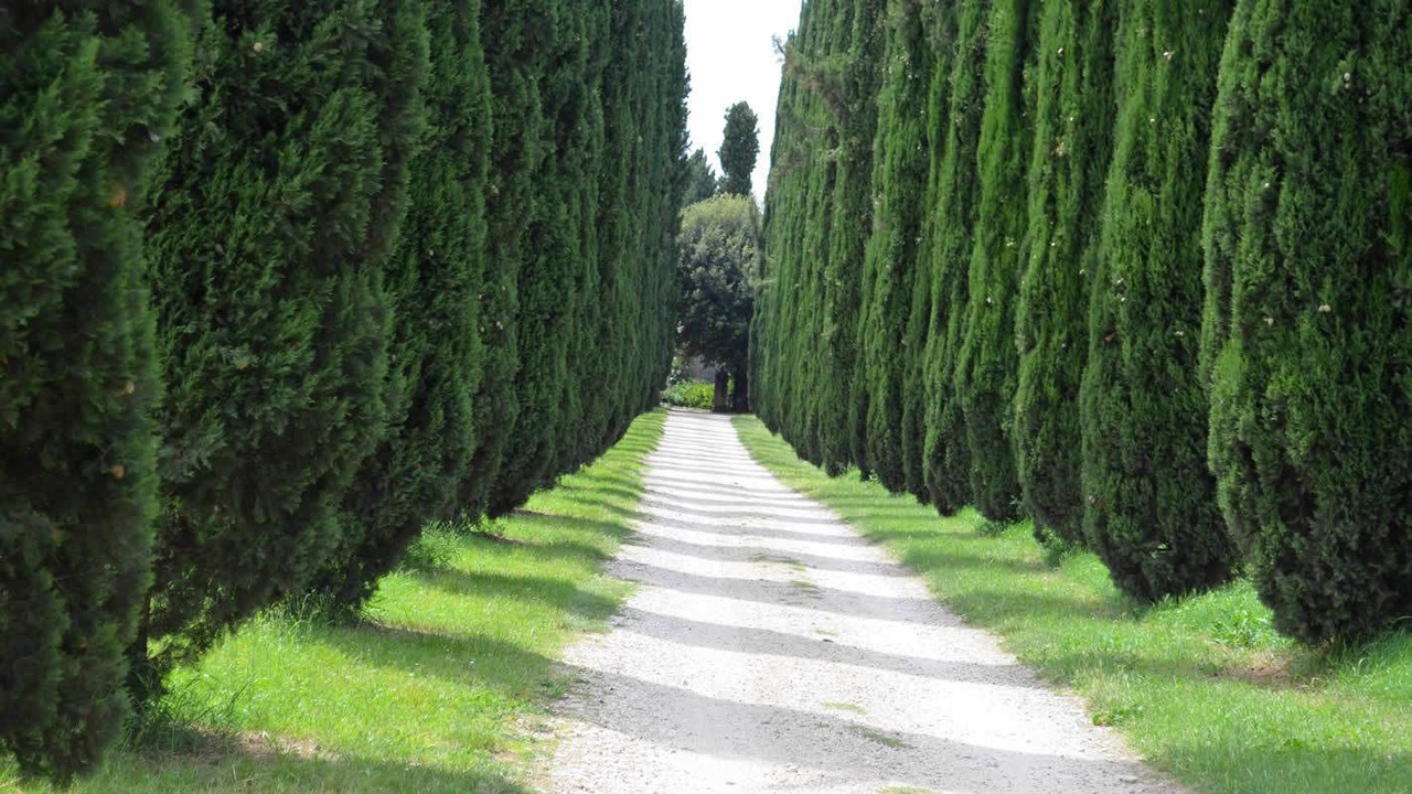 Photo of Outdoor in Villa Adriana