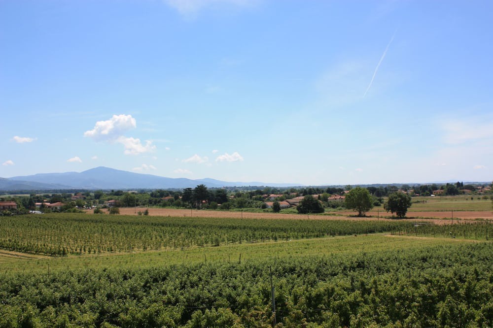 Photo of Others in Monte San Savino