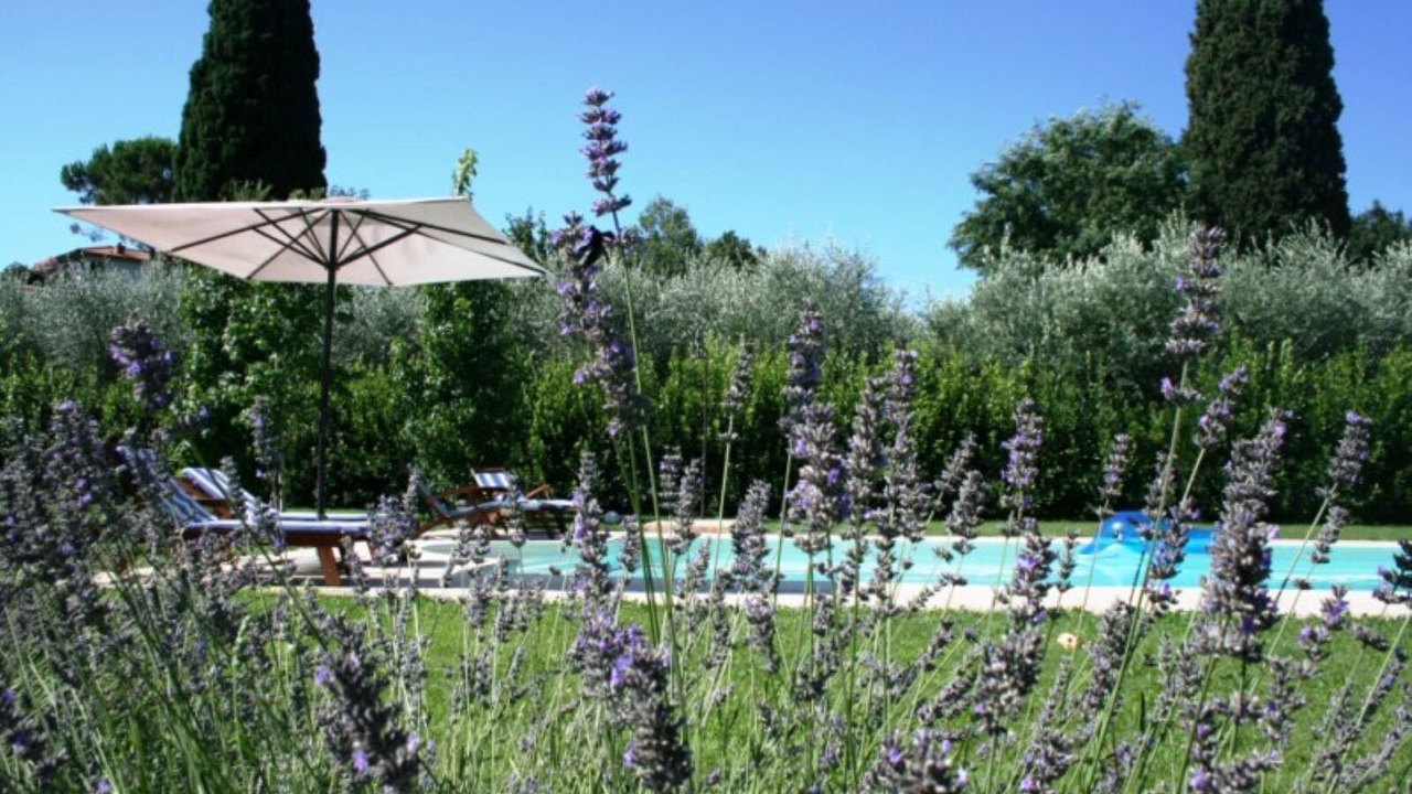 Photo of Outdoor in Alberoro