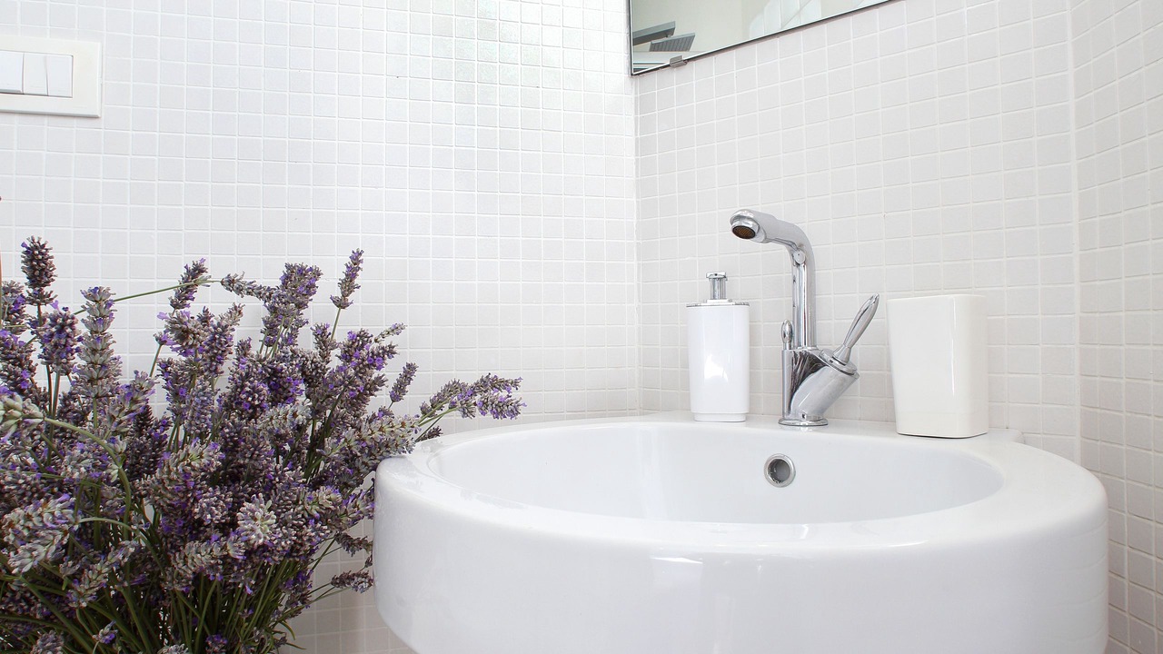 Photo of Bathroom in Manarola