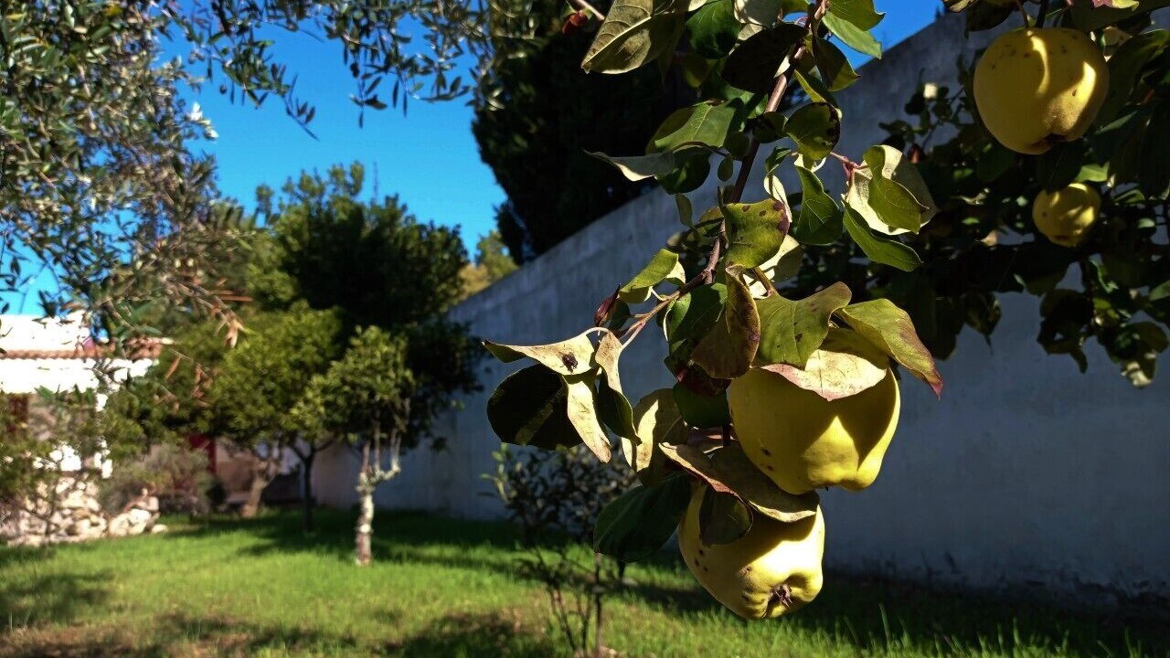 Photo of Outdoor in Roca Vecchia