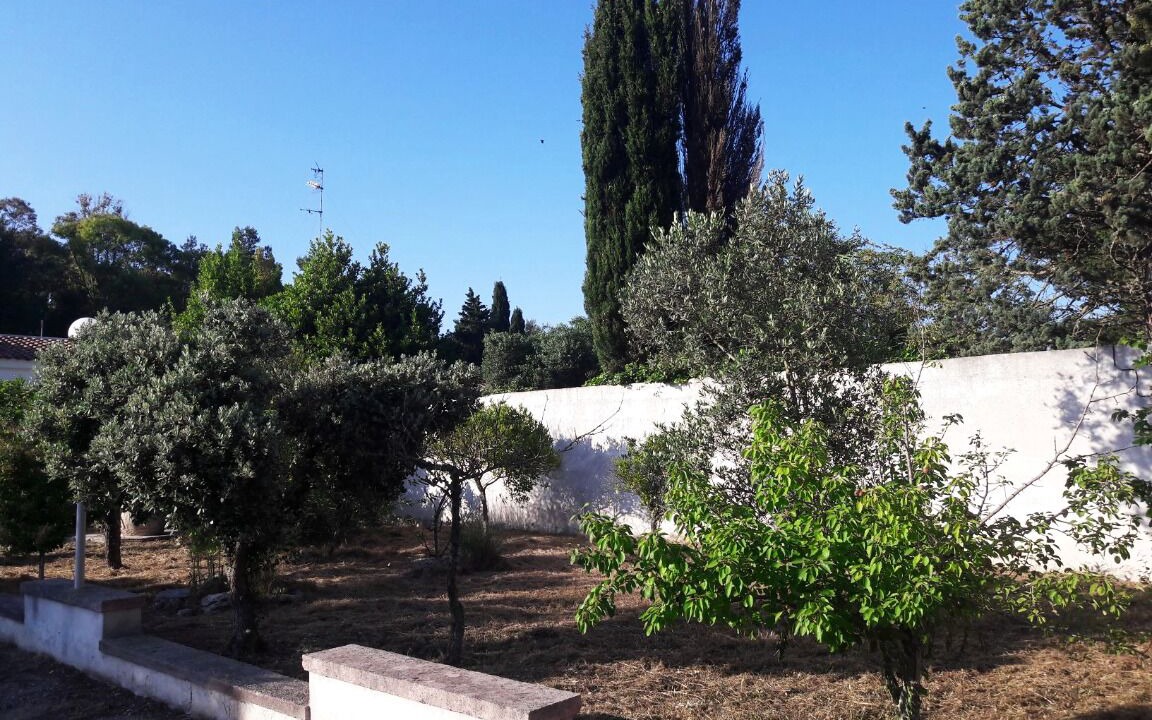 Photo of Outdoor in Roca Vecchia