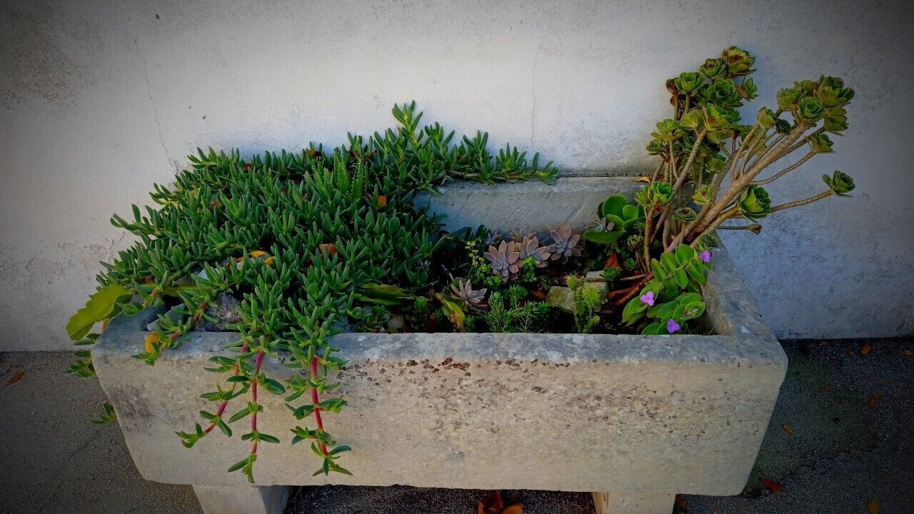 Photo of Outdoor in Roca Vecchia