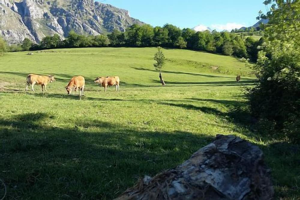 Photo of Outdoor in Arenas de Cabrales