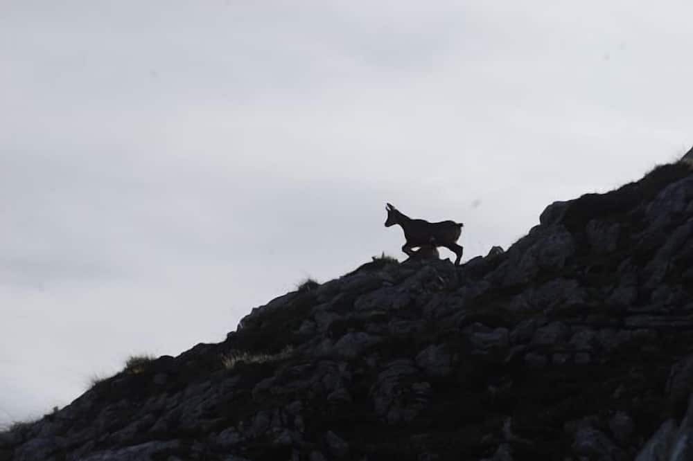 Photo of Outdoor in Arenas de Cabrales