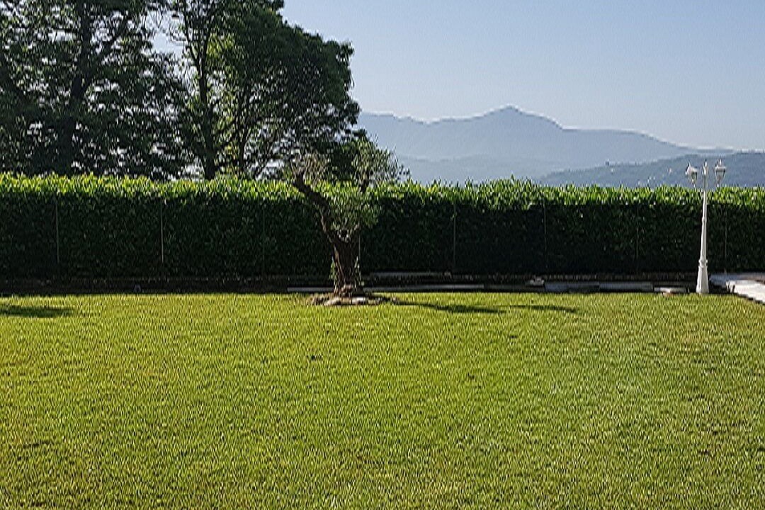 Photo of Others in Avellino