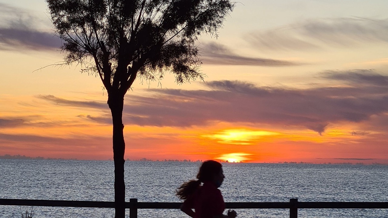 Photo of Others in San Juan de los Terreros