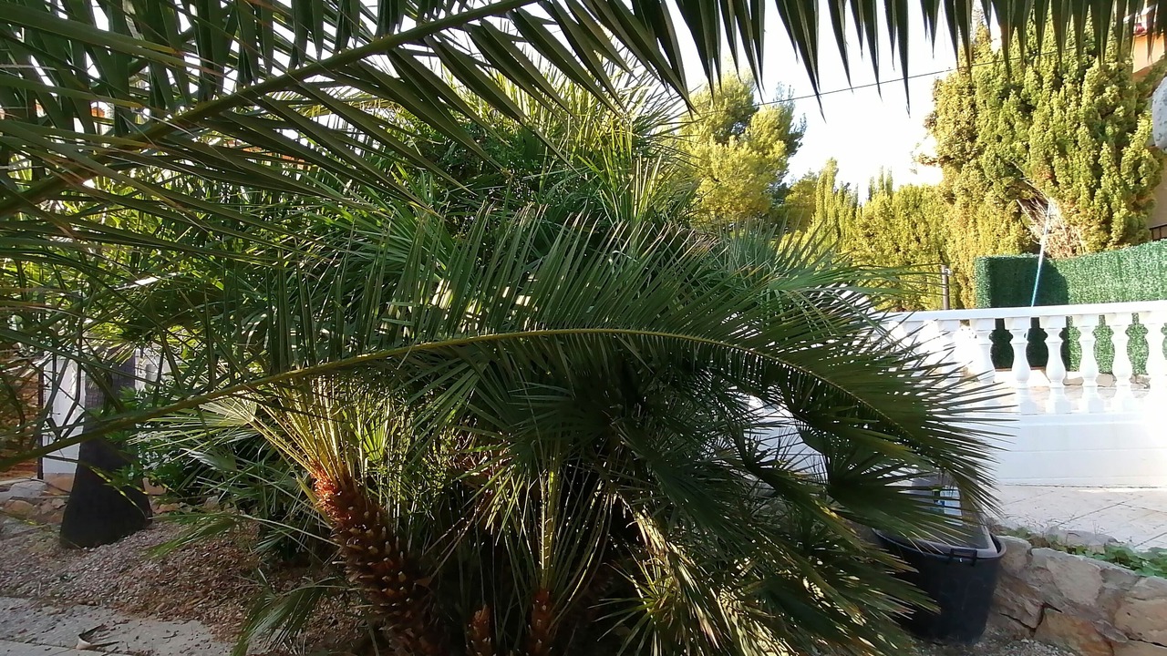 Photo of Outdoor in La Colina