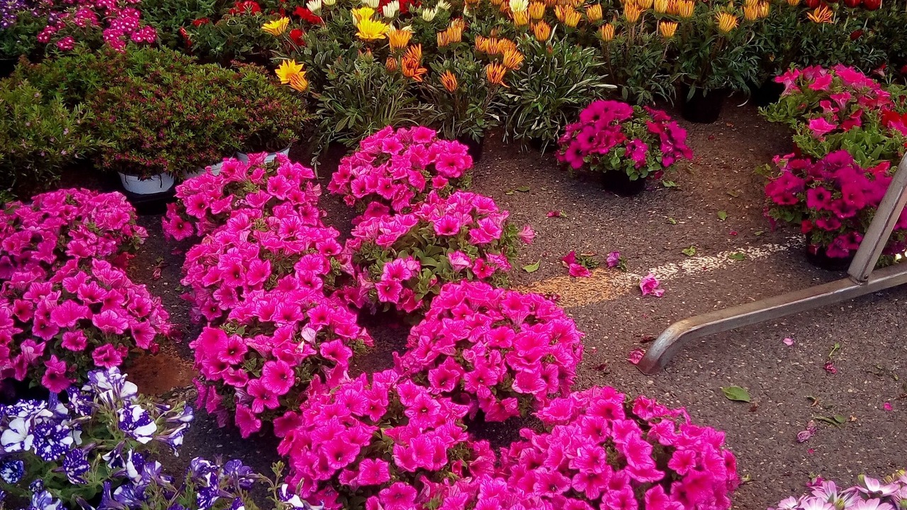 Photo of Outdoor in Torvaianica