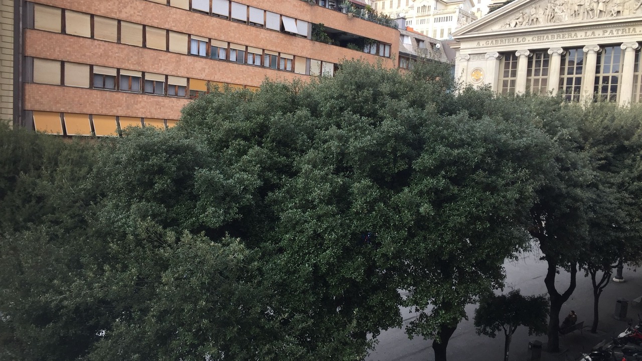 Photo of Outdoor in Savona