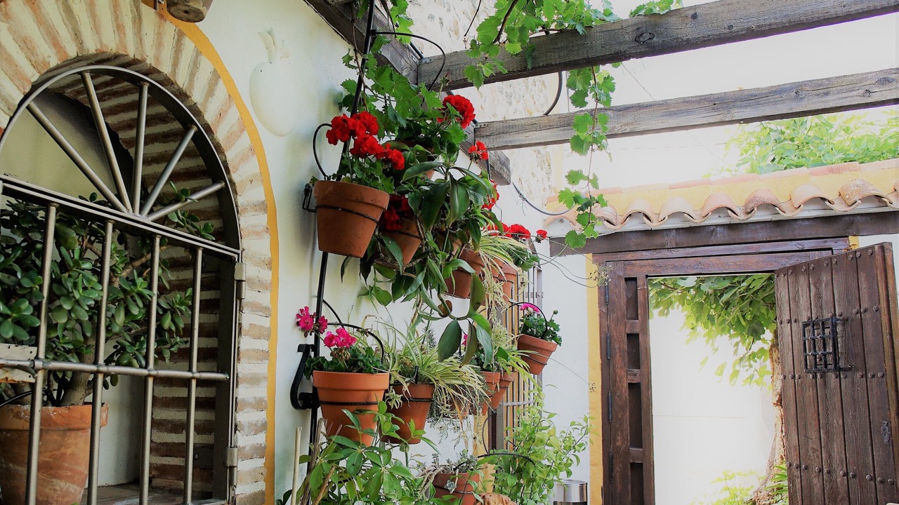 Photo of Patio Balcony in La Brena