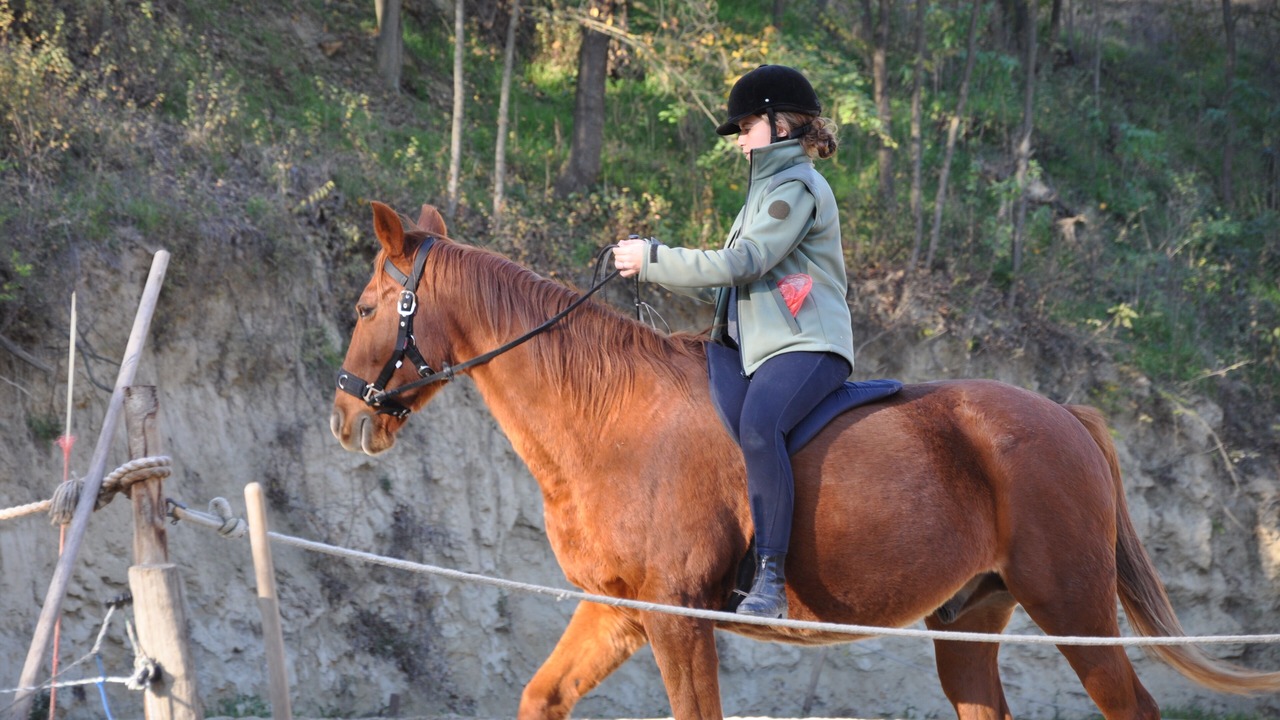 Photo of Others in Canale