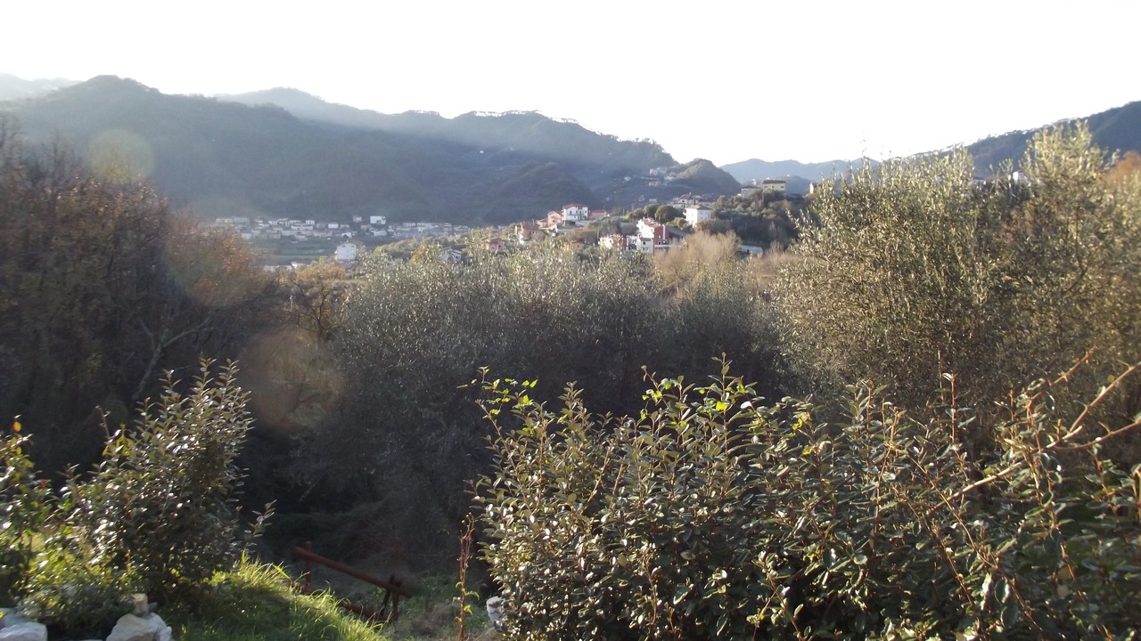 Photo of Others in Serralta