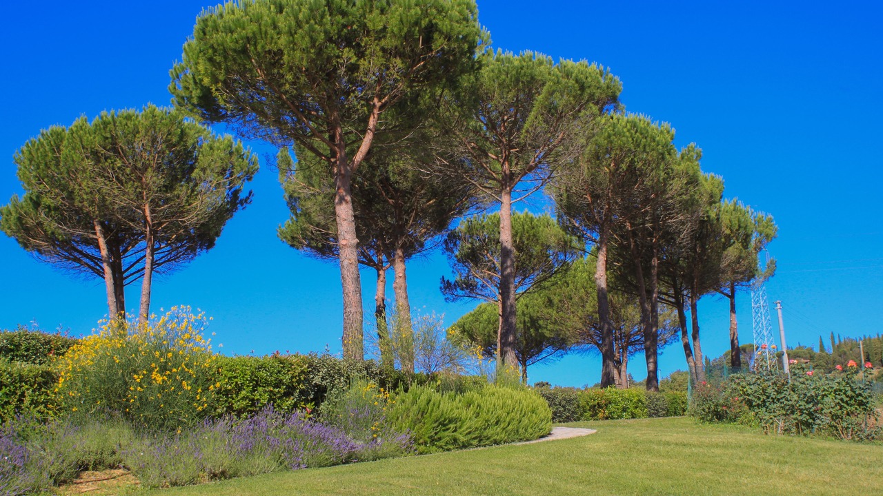 Photo of Outdoor in Gaiole in Chianti