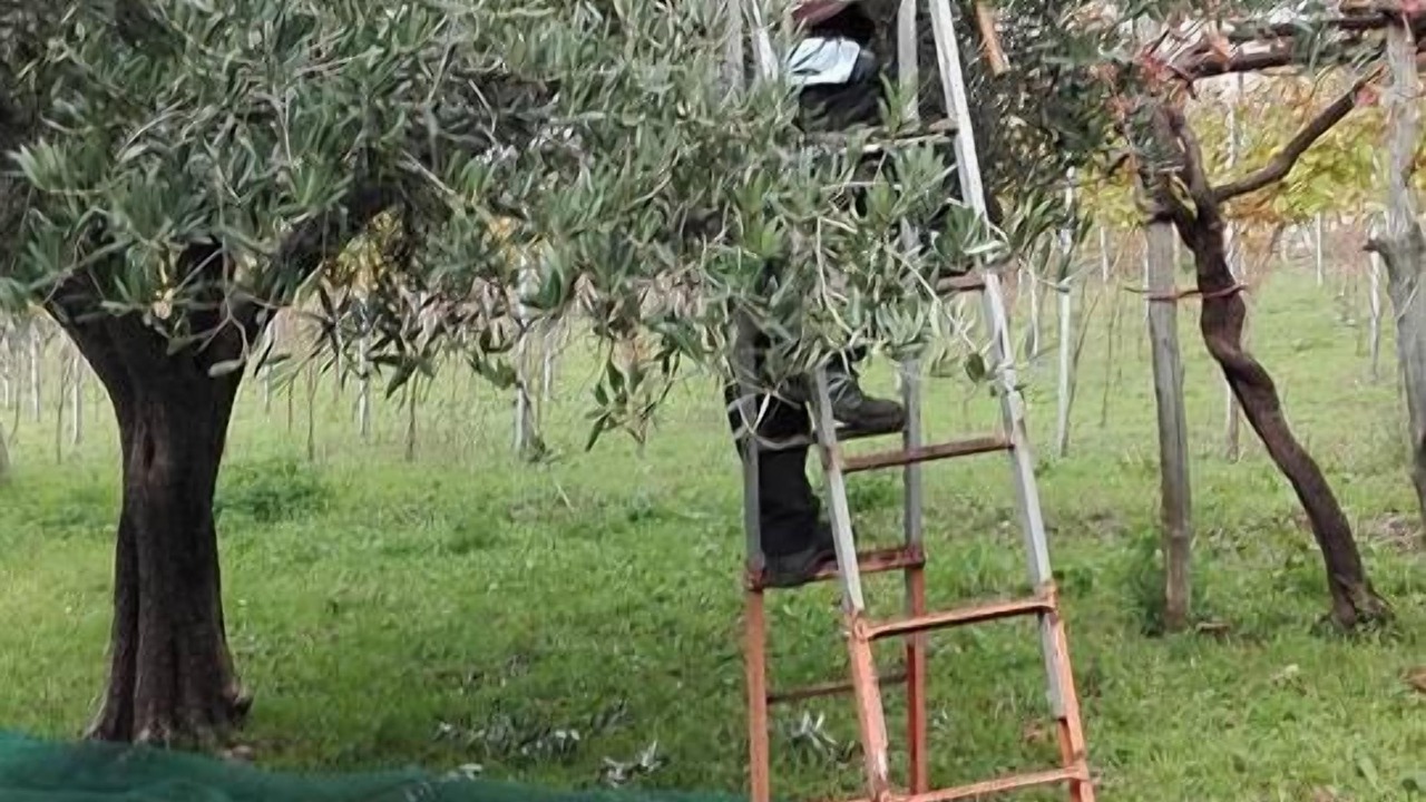 Photo of Others in Tramonti
