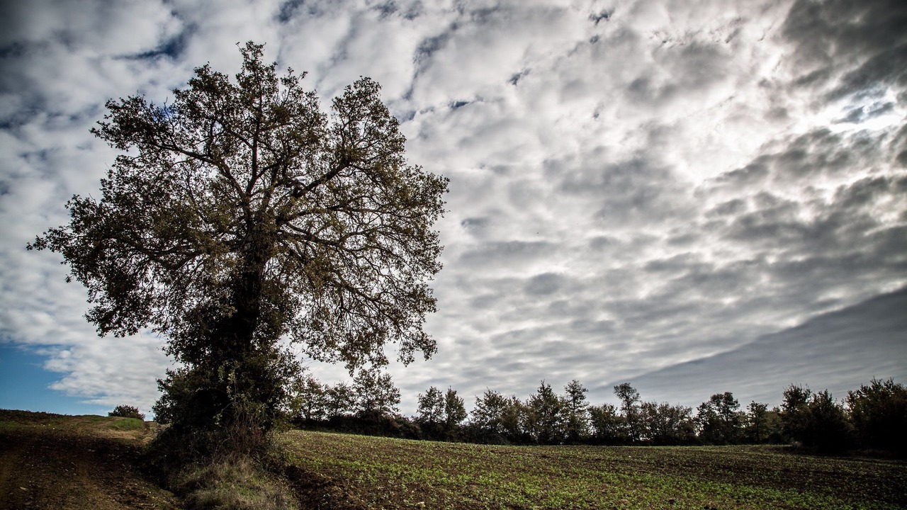 Photo of Outdoor in Montelaguardia