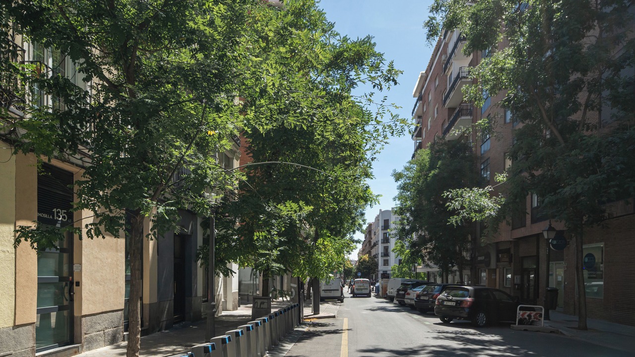 Photo of Outdoor in Goya