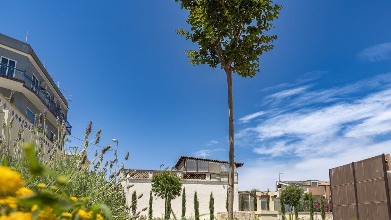 Photo of Outdoor in Taranto