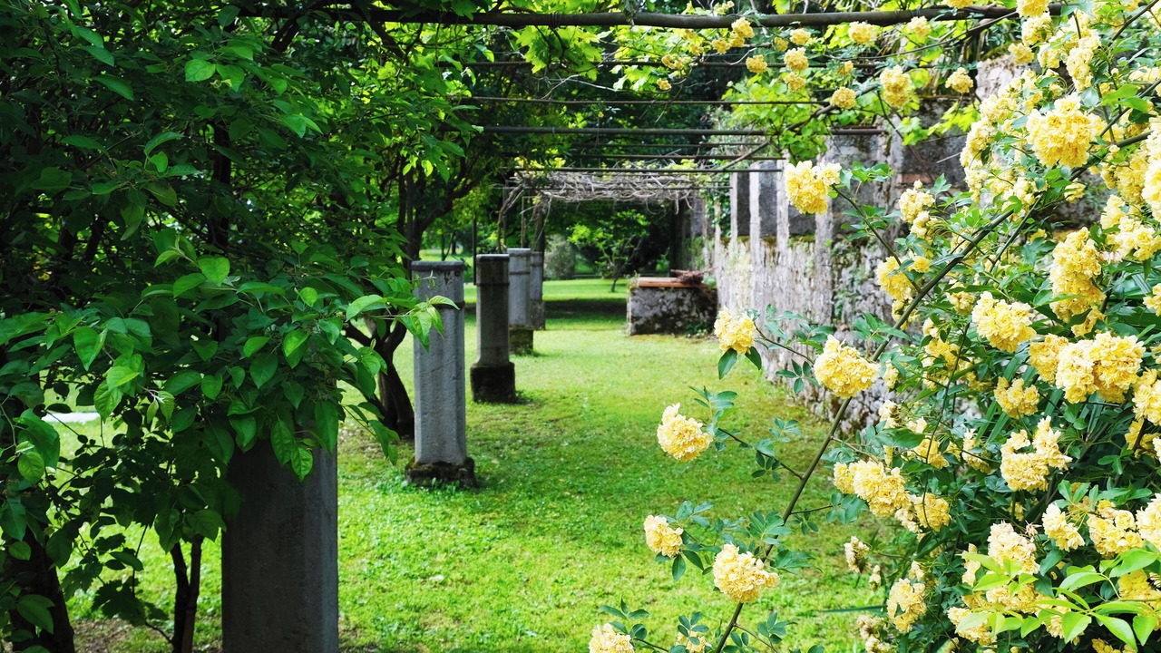 Photo of Outdoor in Caneva