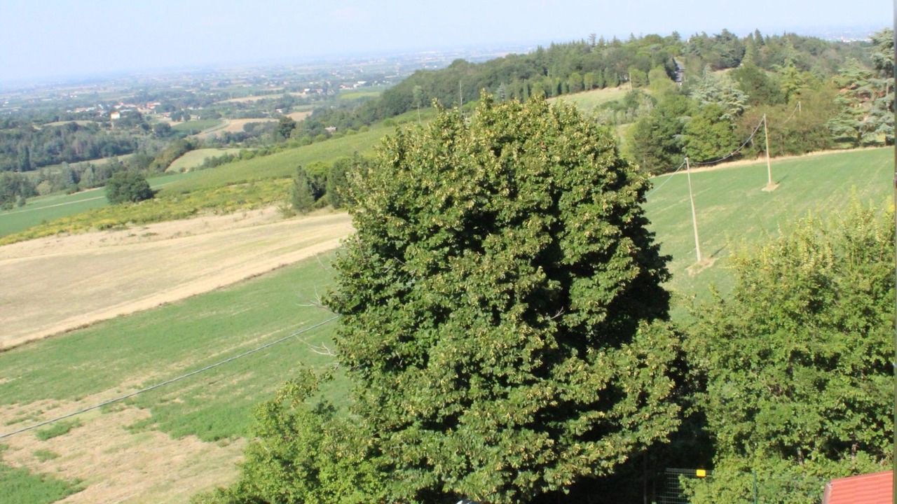 Photo of Outdoor in Imola