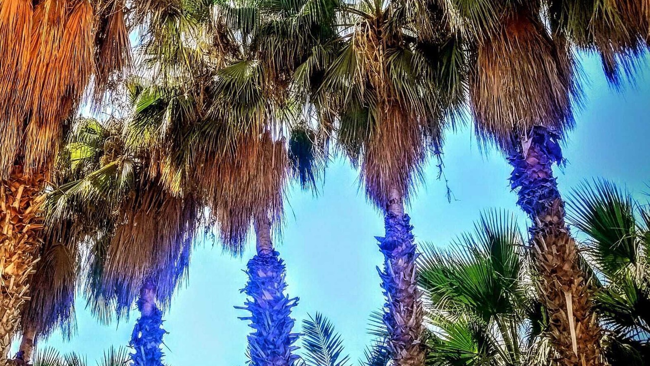 Photo of Outdoor in Bozyazi