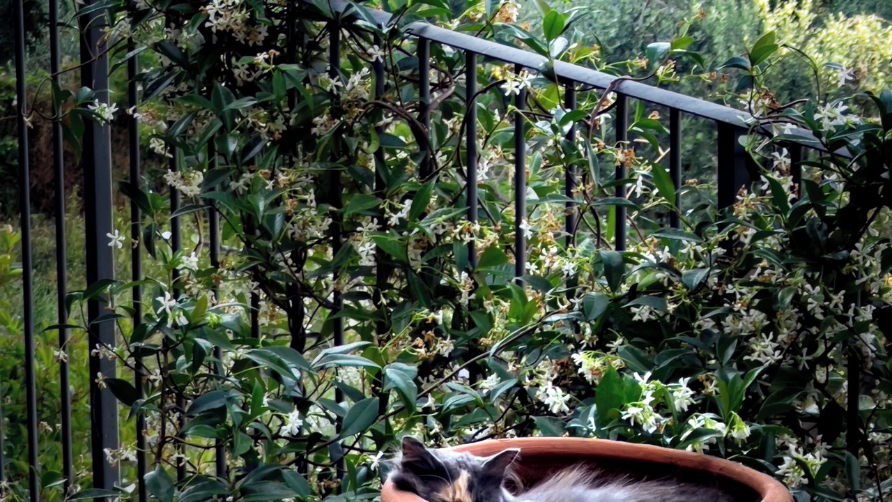 Photo of Outdoor in Todi