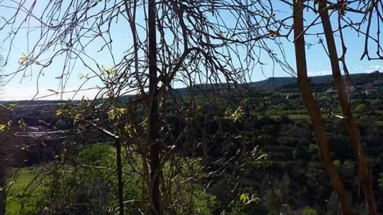 Photo of Others in Colungo