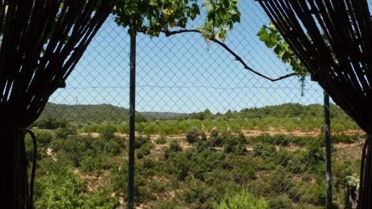 Photo of Outdoor in Colungo
