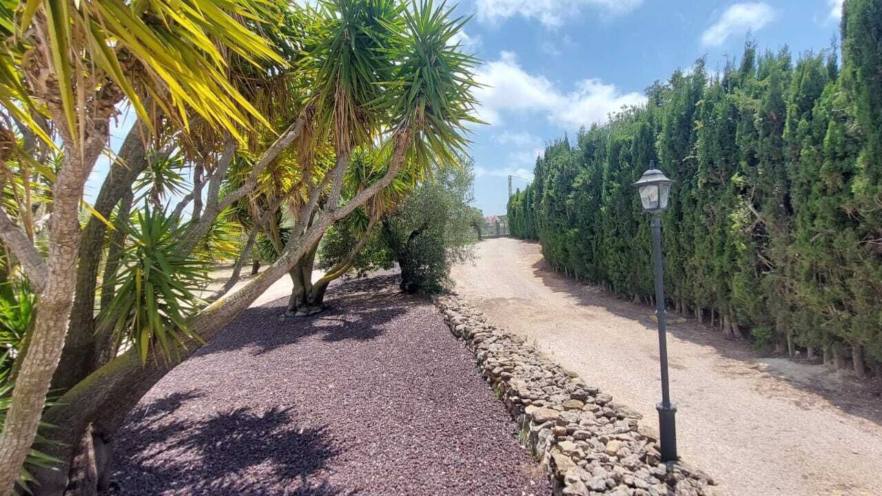 Photo of Outdoor in Calig