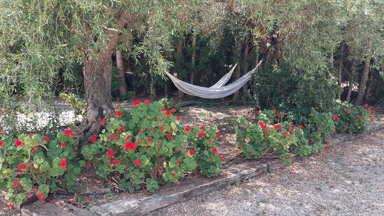 Photo of Outdoor in Calig