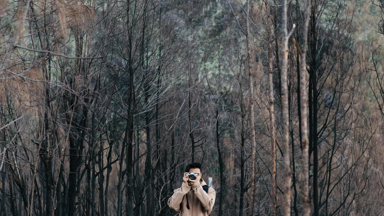 Photo of Outdoor in Viladrau