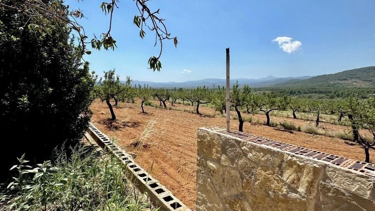 Photo of Outdoor in Culla
