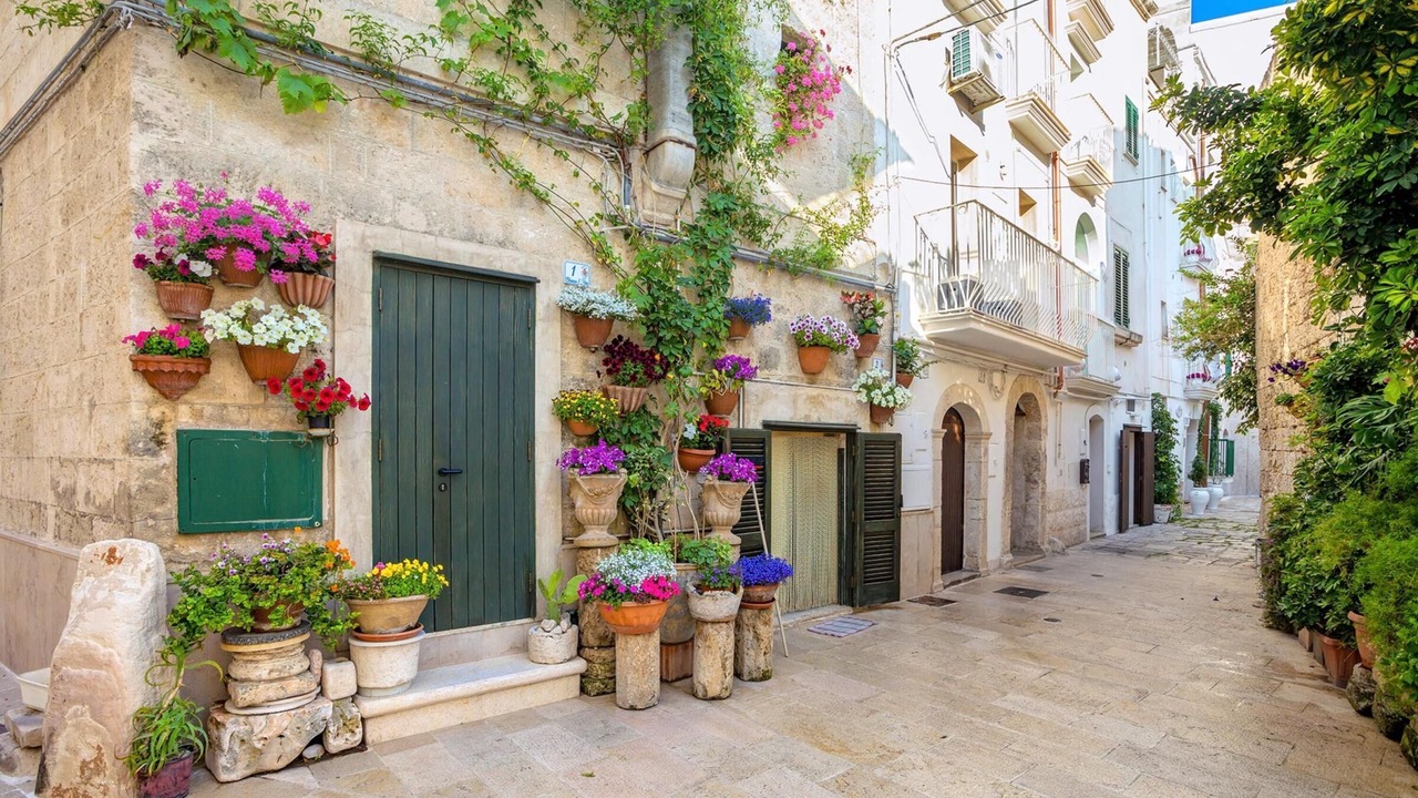 Photo of Outdoor in L'Assunta