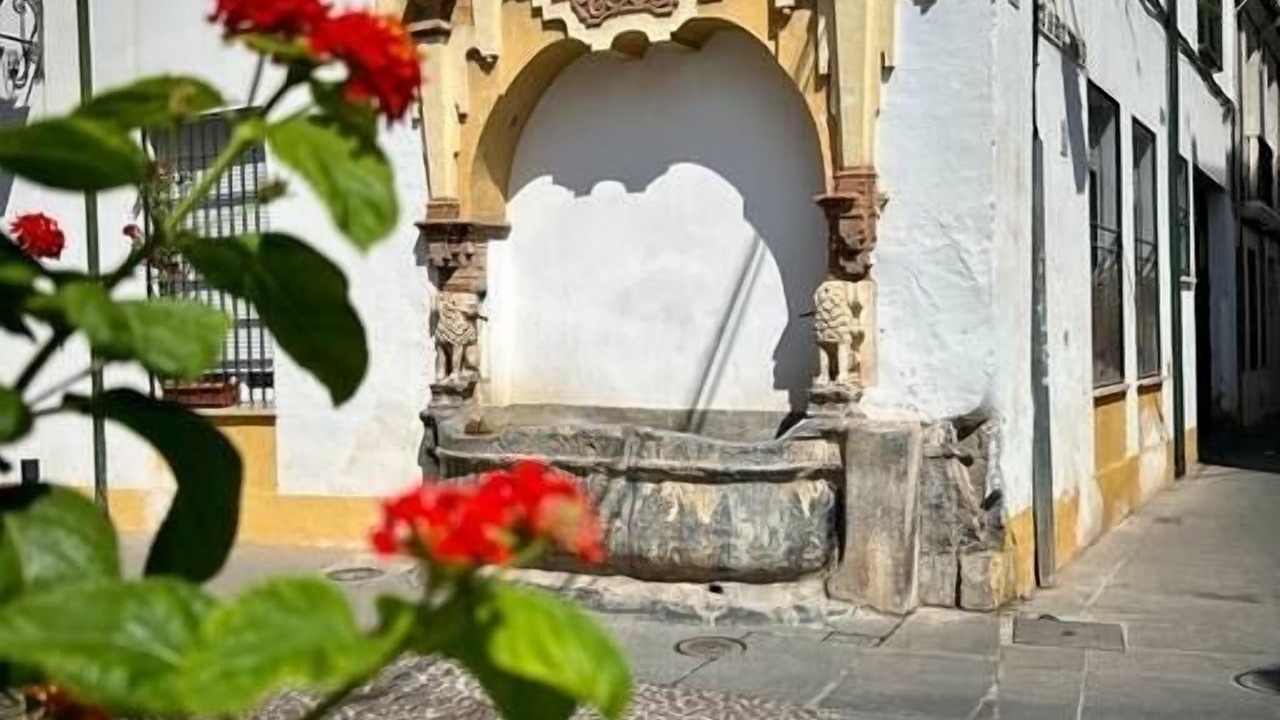 Photo of Outdoor in San Lorenzo