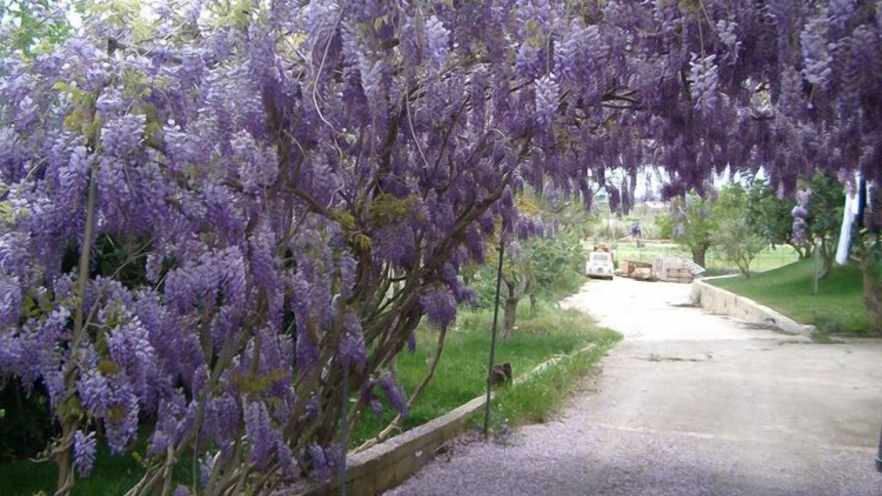Photo of Outdoor in Casa Papa