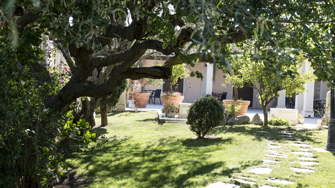 Photo of Outdoor in Casa Papa