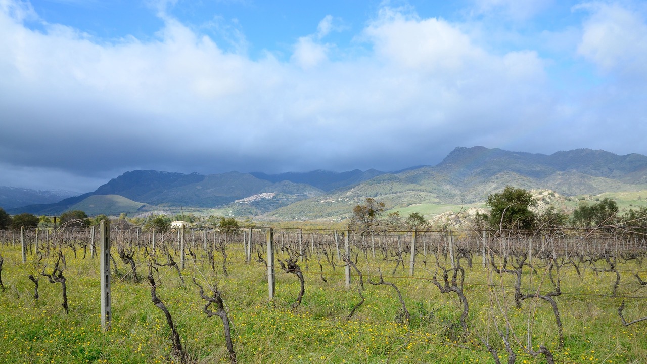 Photo of Outdoor in Castiglione di Sicilia
