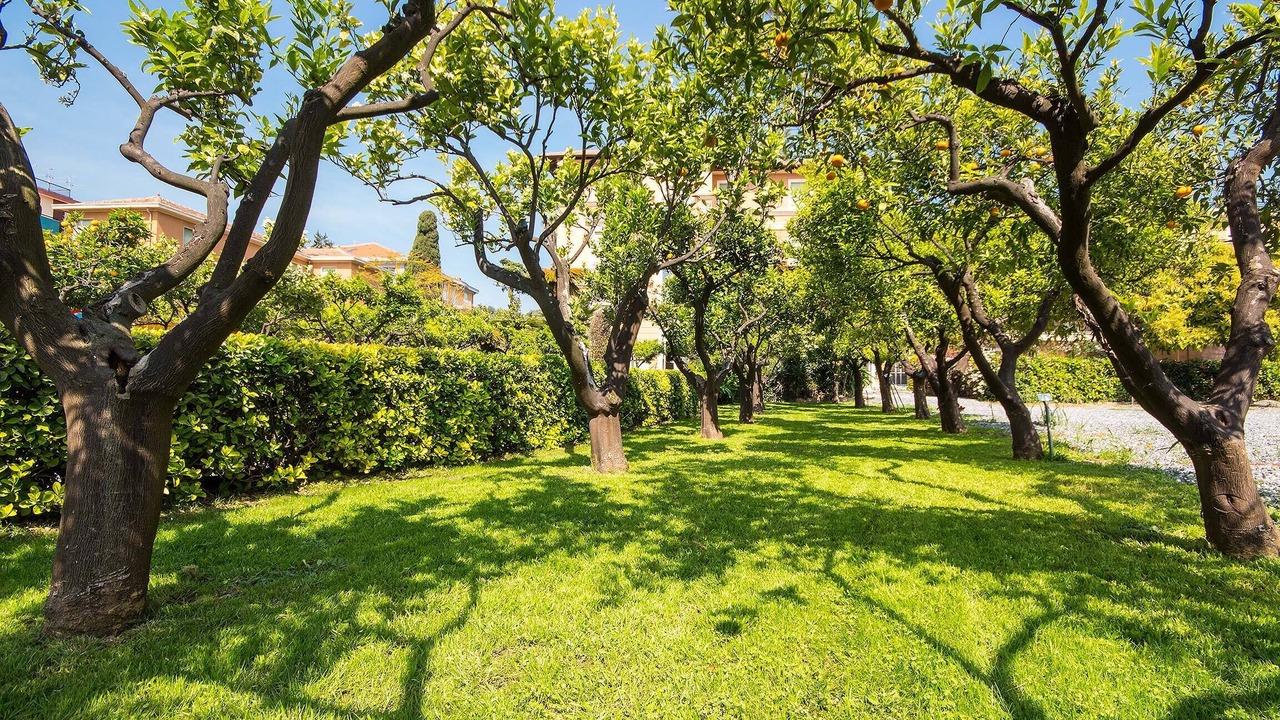 Photo of Outdoor in San Bartolomeo al Mare