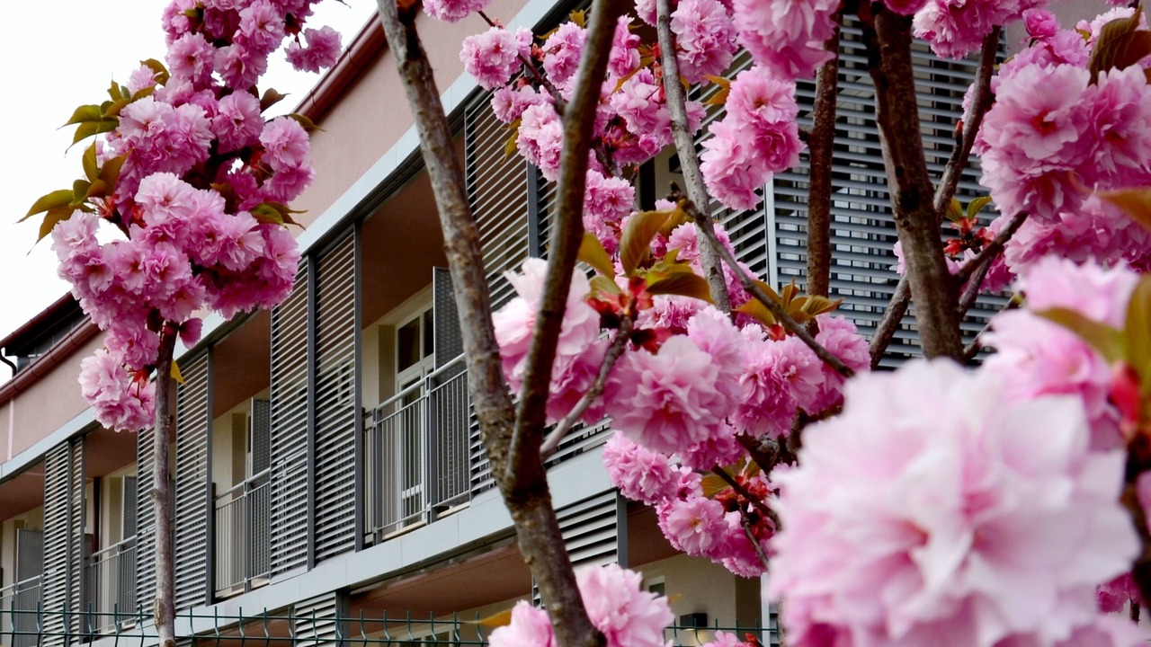 Photo of Outdoor in Vimercate
