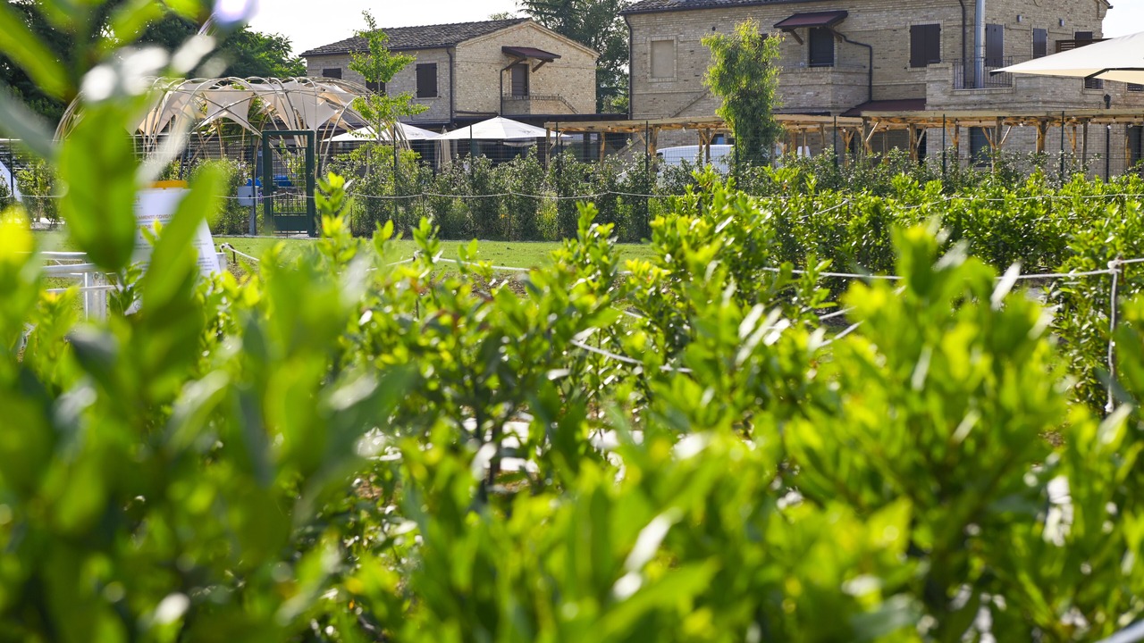 Photo of Outdoor in Civitanova Marche