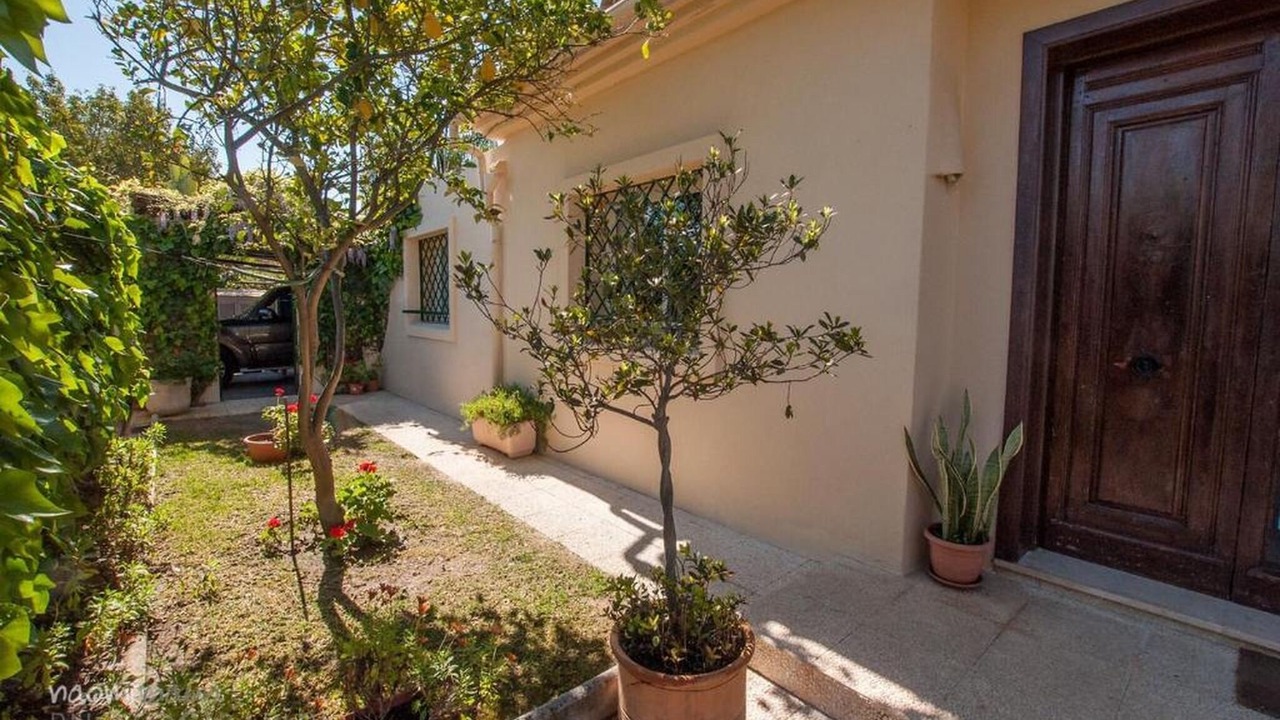 Photo of Outdoor in Atalaya-Isdabe