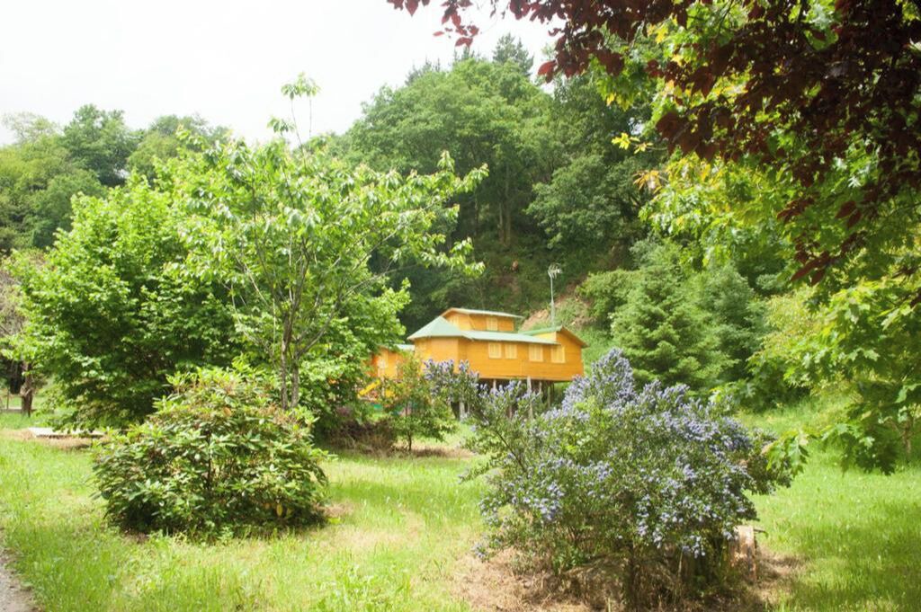 Photo of Outdoor in Villacarriedo