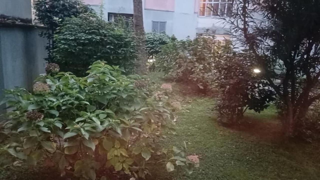 Photo of Outdoor in Calvairate