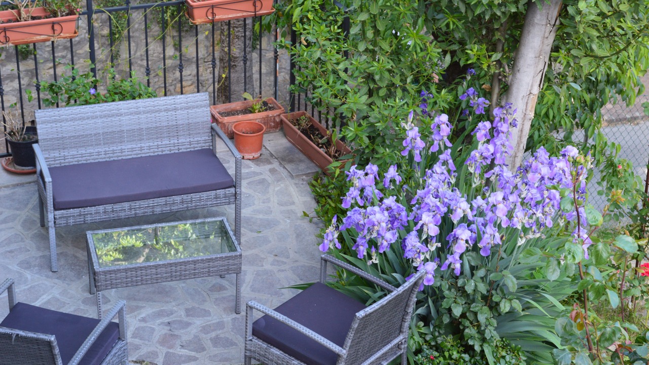 Photo of Outdoor in Guiglia