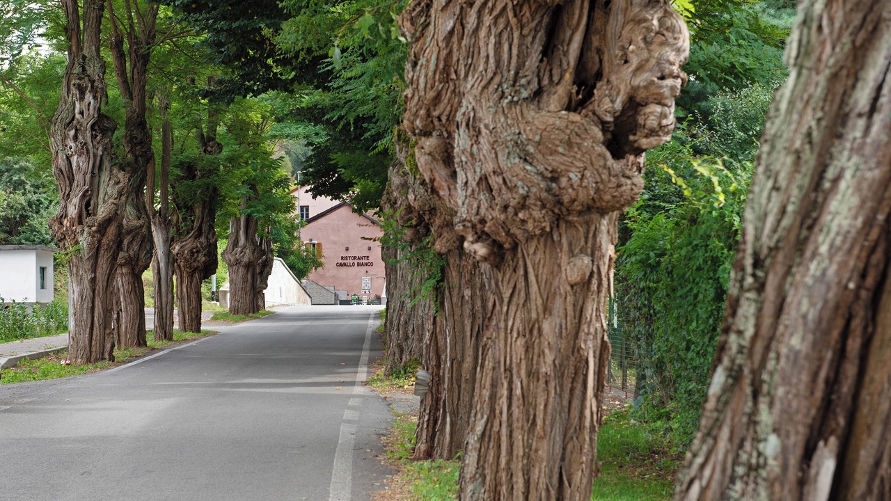 Photo of Others in Giusvalla