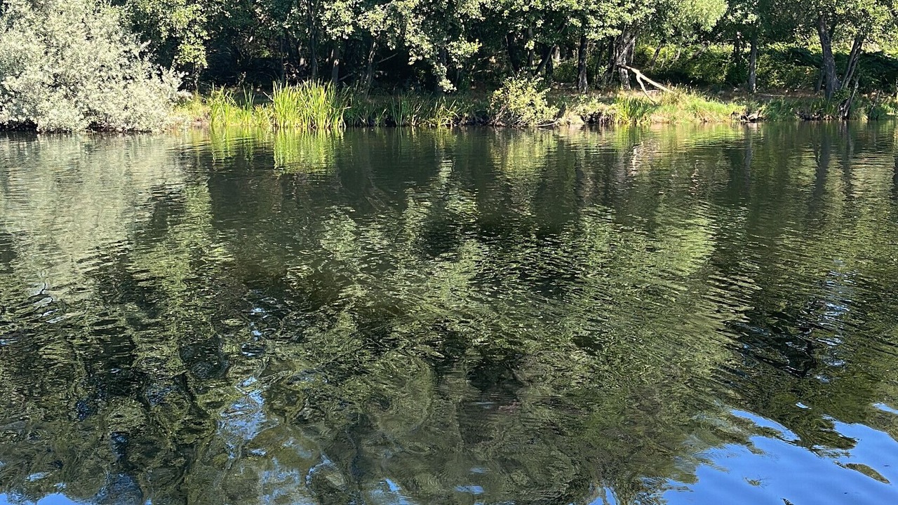 Photo of Outdoor in Barco De Avila