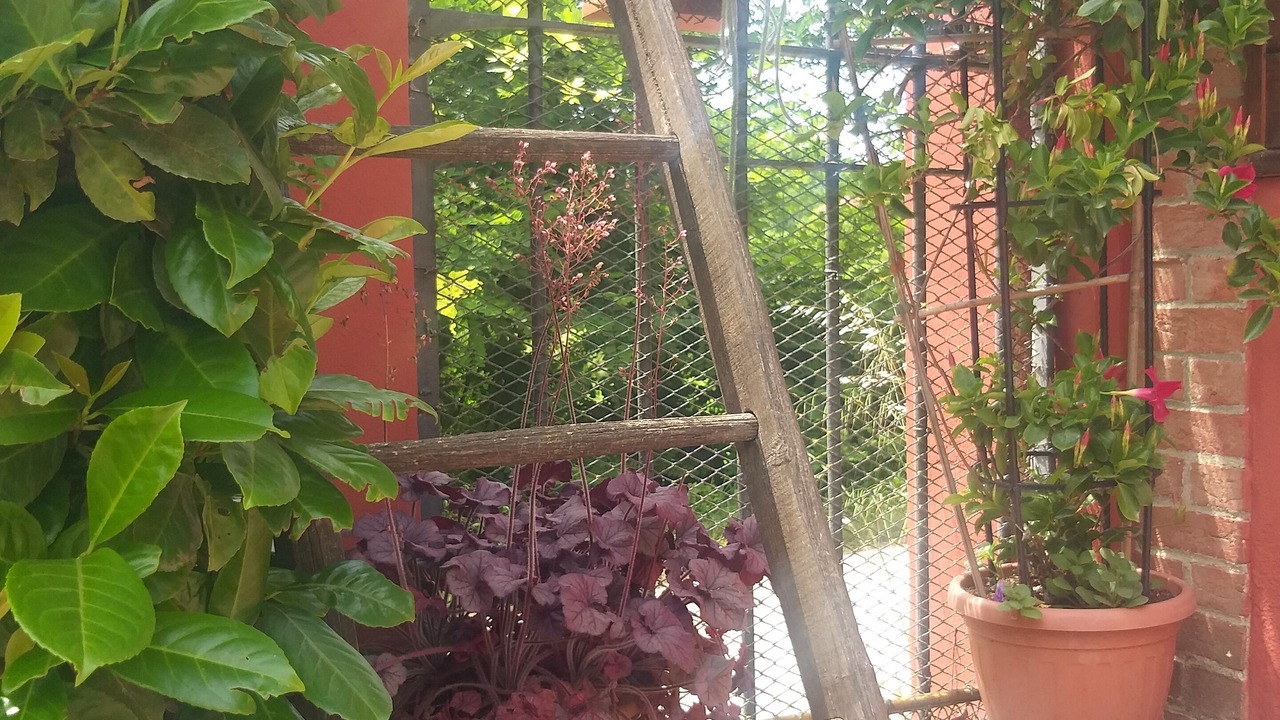 Photo of Outdoor in San Damiano dʼAsti