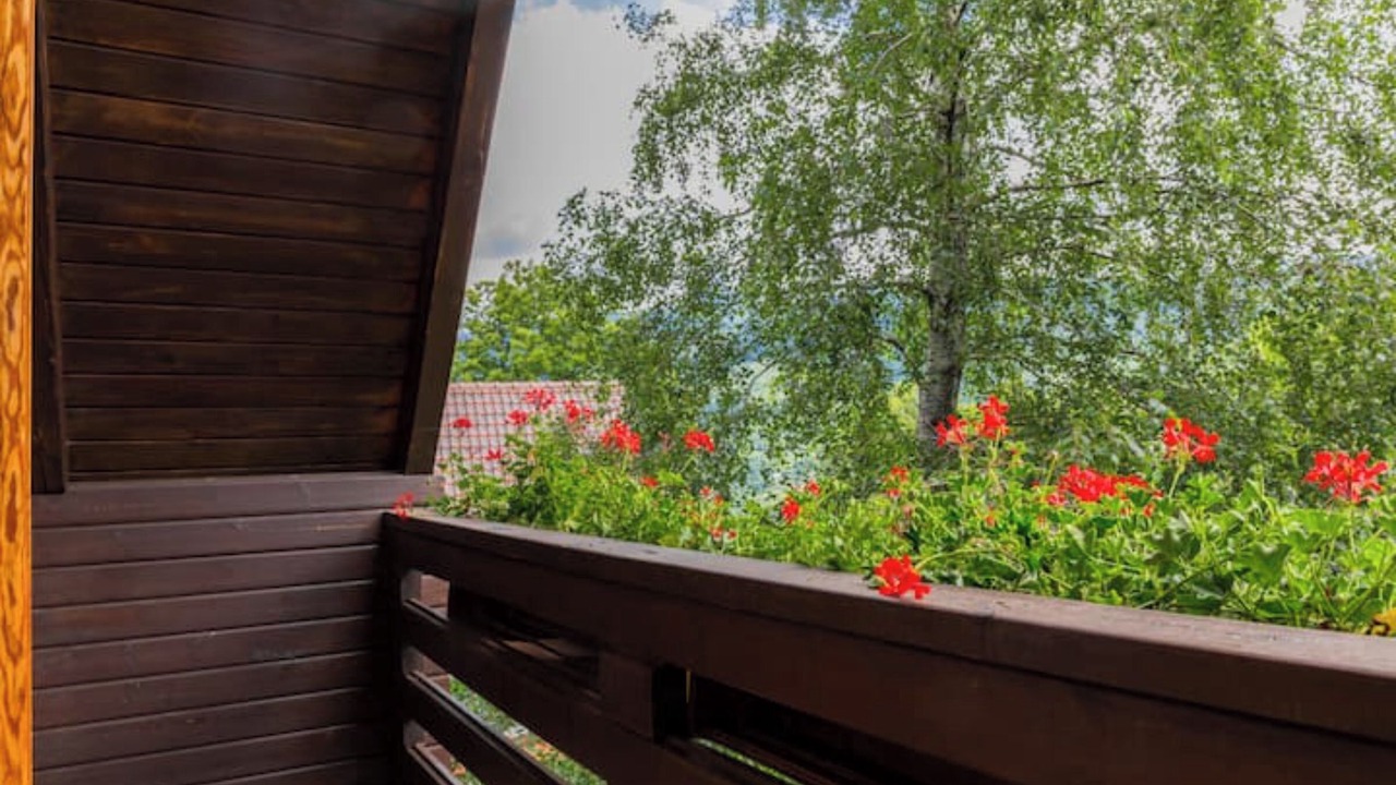 Photo of Outdoor in Cutigliano